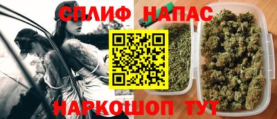 мяу мяу мука Гатчина