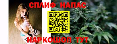 ALPHA PVP Гай