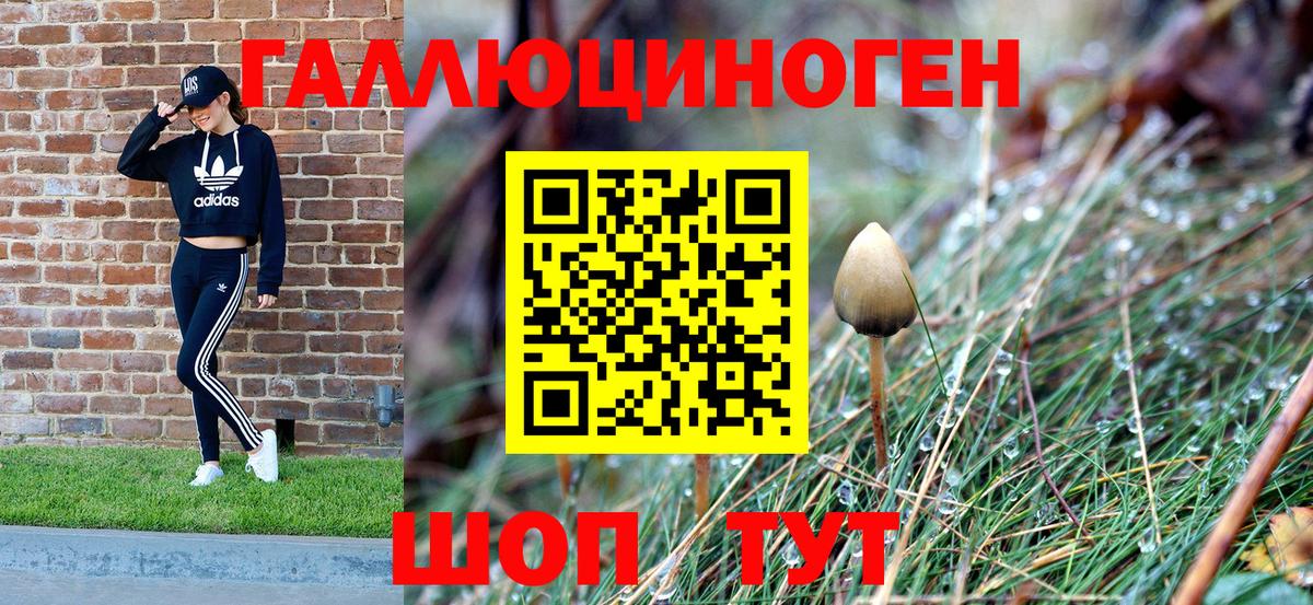 Галлюциногенные грибы Cubensis Нальчик